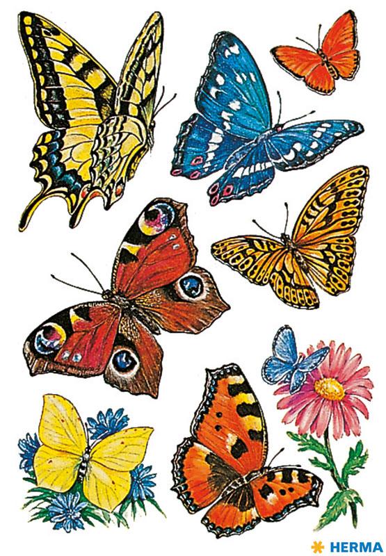 Sticker butterflies