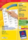 Address Labels A4 x 63.5 mm 46.6