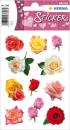 Flowers rose petals