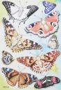 Sticker Schmetterling I